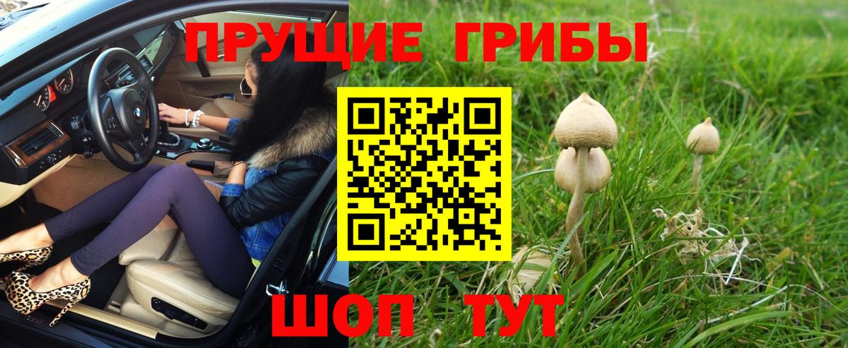 Лянтор  Галлюциногенные грибы MAGIC MUSHROOMS  Вход с VPN 
