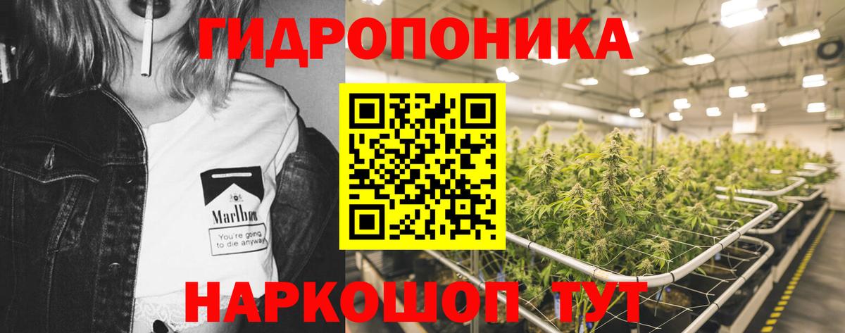 Бошки марихуана VHQ Лянтор